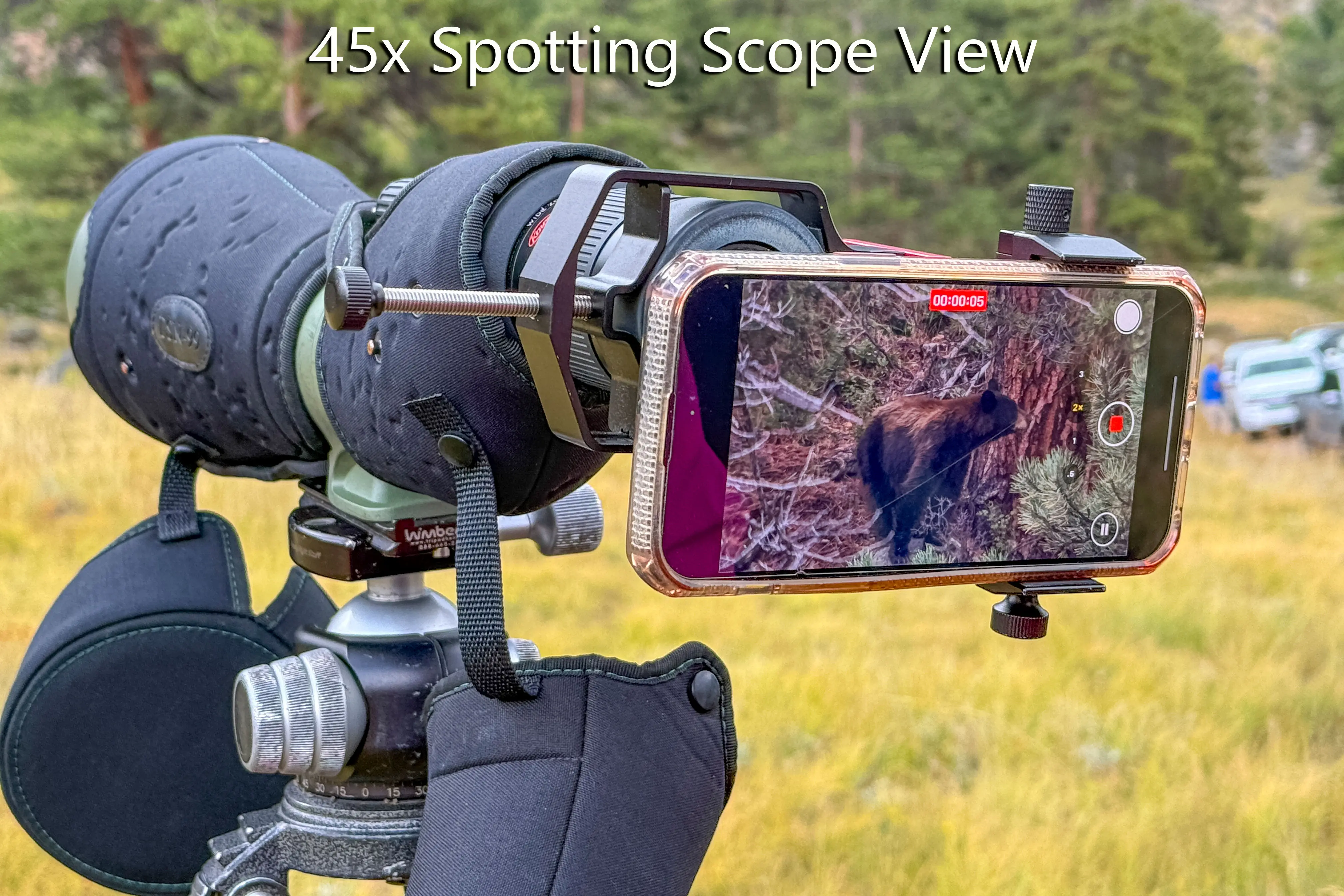 Wildlife Tour Spotting Scope View moose and baby in rocky mountain national park